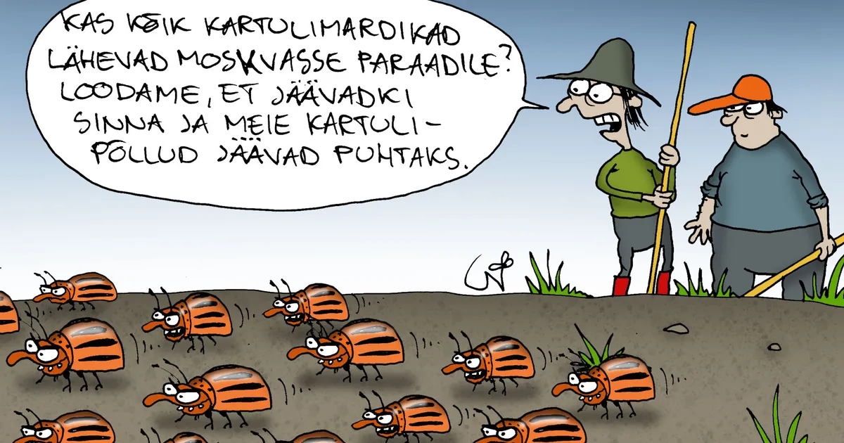 JUHTKIRI ⟩ Noateral valimised