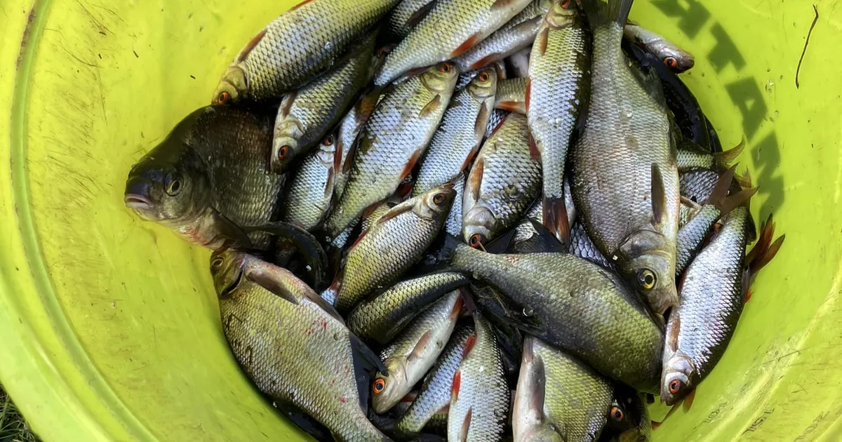 Õngitsejad panevad hooajale punkti