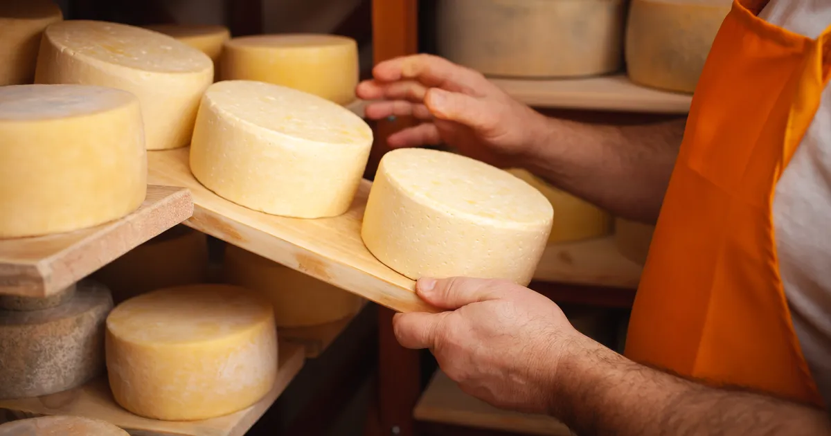 SUUR JUUSTURÖÖV ⟩ Pikanäpumehed panid rohkem kui 300 000 euro eest Cheddarit pihta