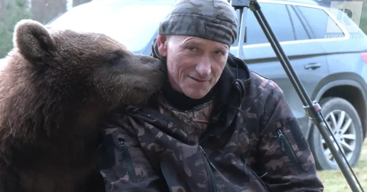 PLK PEALE ⟩ Eesti kõige sõbralikuma karu tegemisi saab nüüd reaalajas jälgida