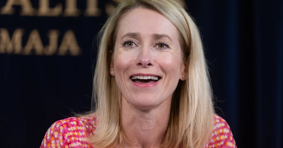 NÕUE SÕNADE ÜMBERLÜKKAMISEKS ⟩ Parvel Pruunsilla hagi Kaja Kallase vastu läks uuele ringile