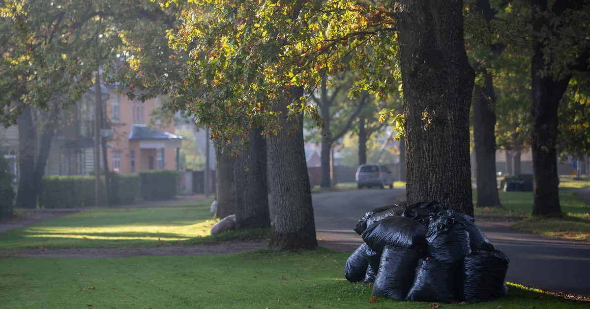 PILTUUDIS ⟩ «Tugevat öökülma vaid vaja oodata!» Tugev vihmasadu tekitas Viljandi linna basseini