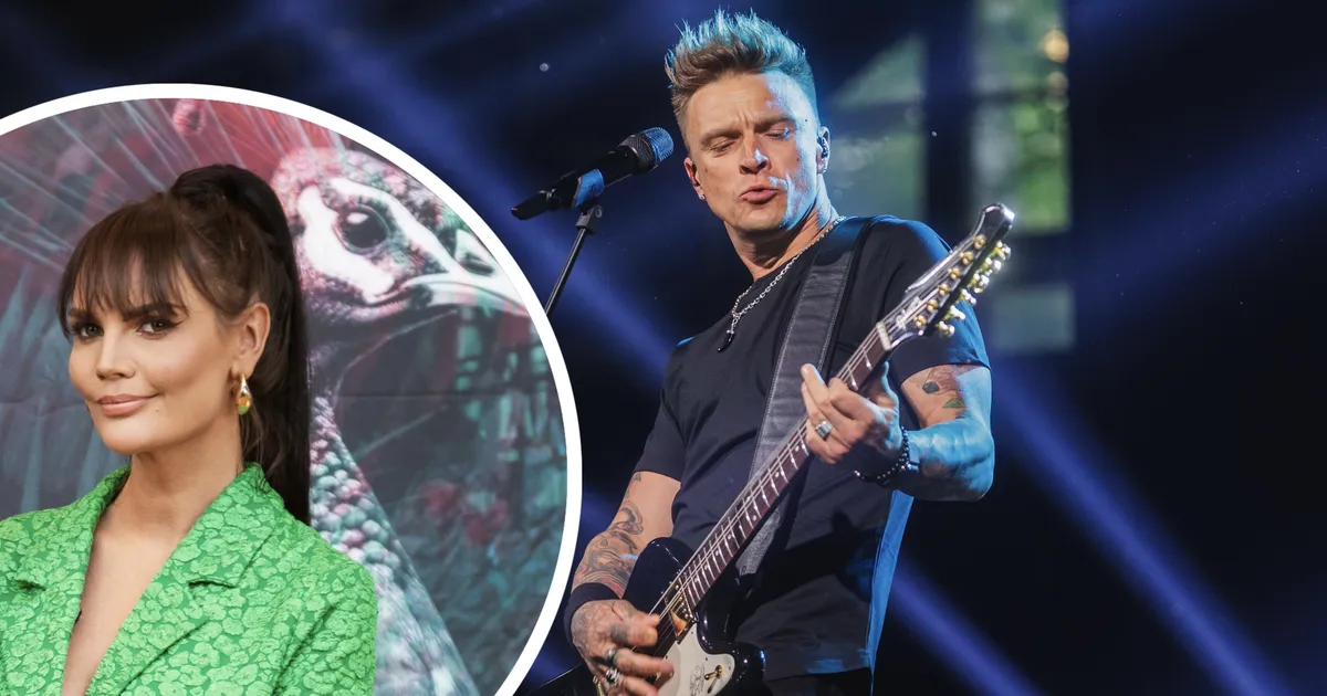 Tanel Padari hagi Malluka vastu võeti kohtus menetlusse. Blogija: proovin pigem vangi minna, kui Tanelile raha maksta