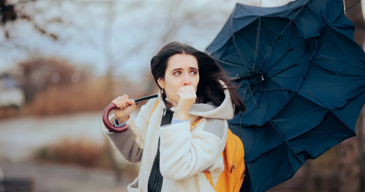 KAS KA SINA? ⟩ Tormihoiatuse korral käitub suur osa rahvas just nii