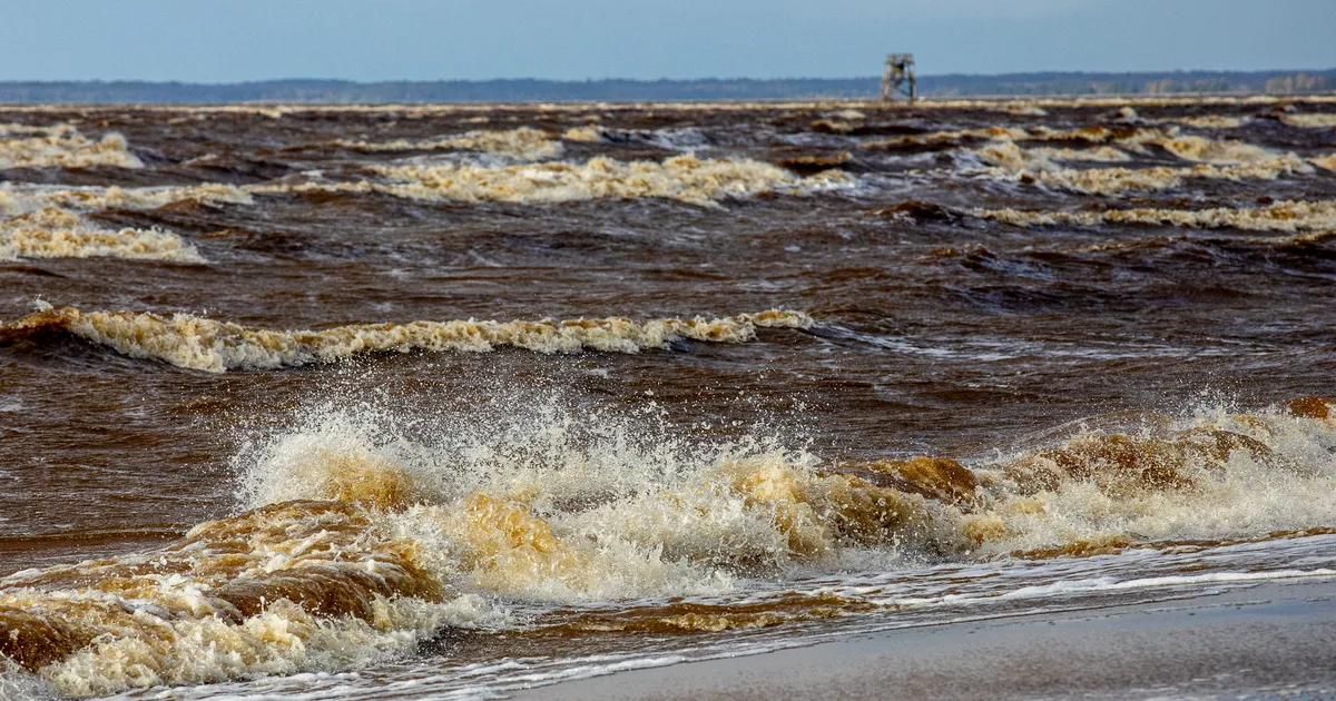 TORMIBLOGI ⟩ Maru liigub üle Eesti, Läänemerel möllavad viie meetrised lained ja elektrita on tuhandeid majapidamisi