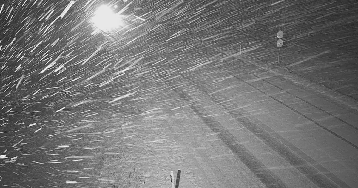 KLÕPS ⟩ Peatatud praamiliiklus ja murdunud puud: Ida-Virumaal sajab laia lund ning teeolud on endiselt halvad