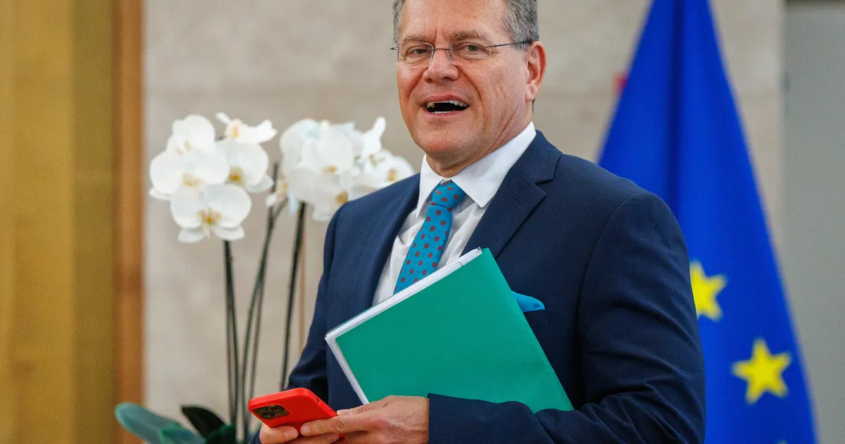 SELGITUS ⟩ Kuidas näeb välja volinikukandidaatide kuulamise protseduur?