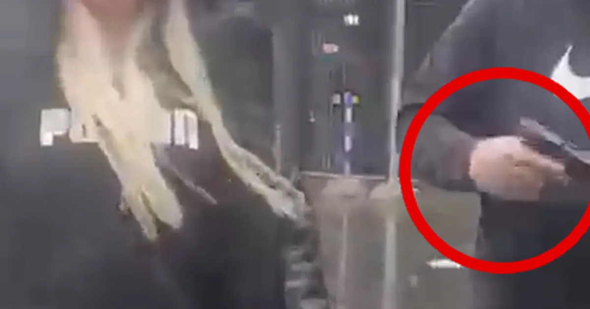 HÄIRIVAD VIDEOD ⟩ «Lasen vä?» Tiktokkeri ColaQueeni elukaaslane tõmbas tüli käigus relva välja