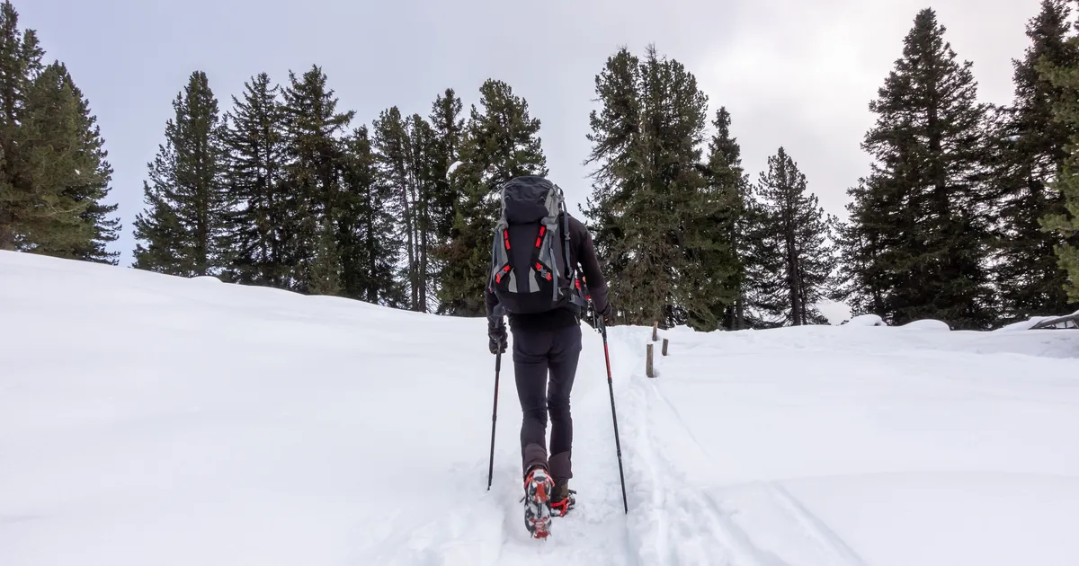 VIDEO ⟩ Dramaatiline pääsemine: 50 päeva kadunud olnud matkaja leiti elusana