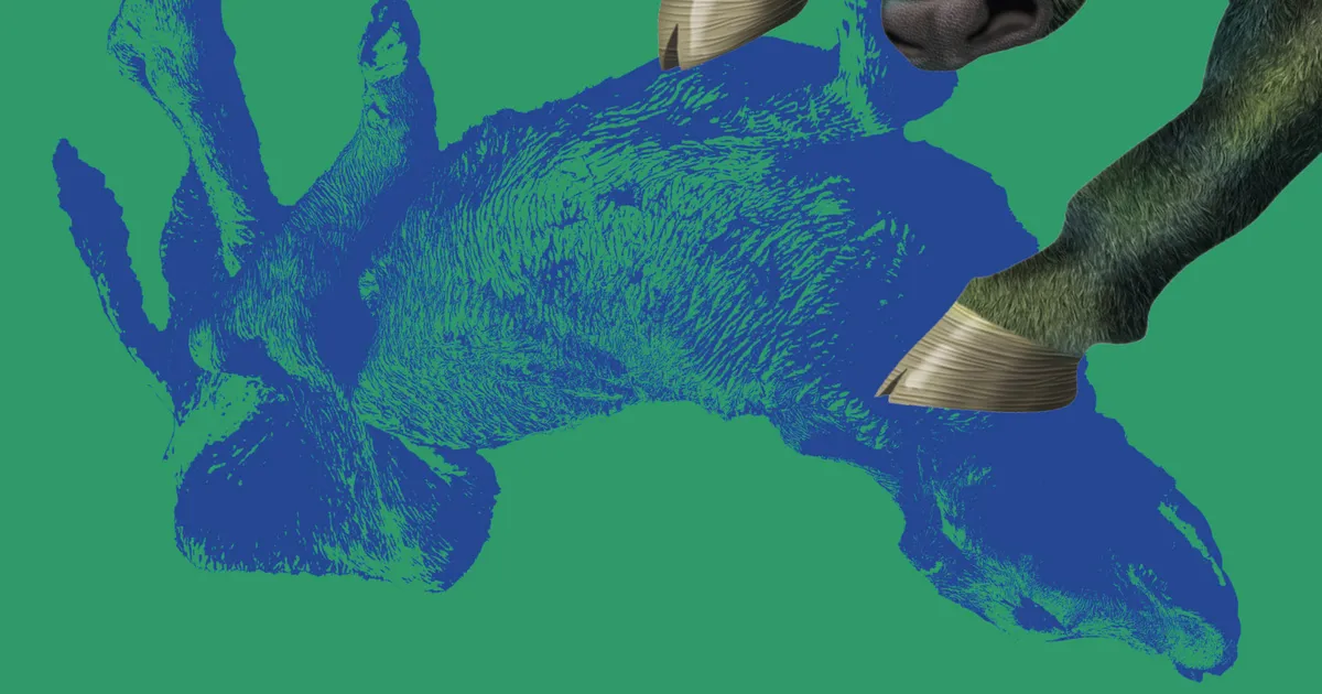 Finlandia preemia võitis teos pealkirjaga «Lehm sünnitab öösel»