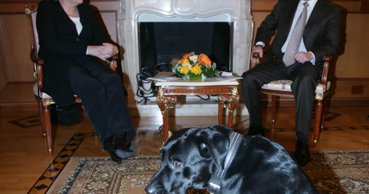 VIDEO ⟩ Kuidas Putini kutsu Merkelit hirmutas?