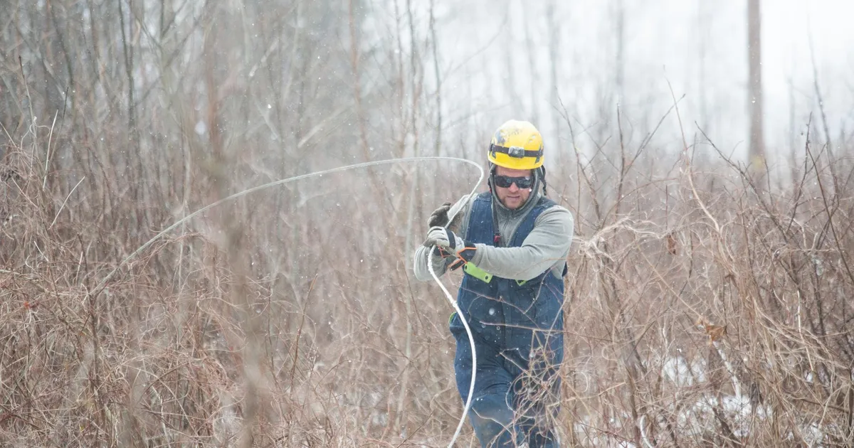 Tugev tuul viis paljudest kodudest elektri
