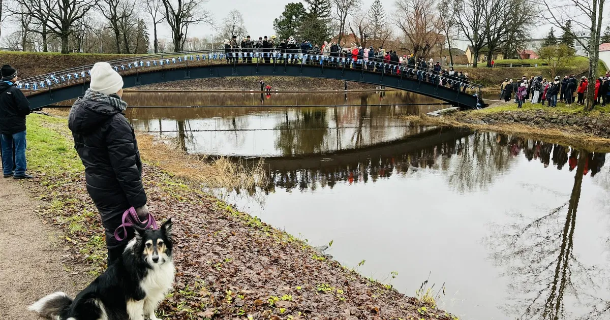 Galerii ⟩ Sillapeoline: Pärnu uus tunnuslause võiks olla "Iga poole aasta tagant uus sild!"