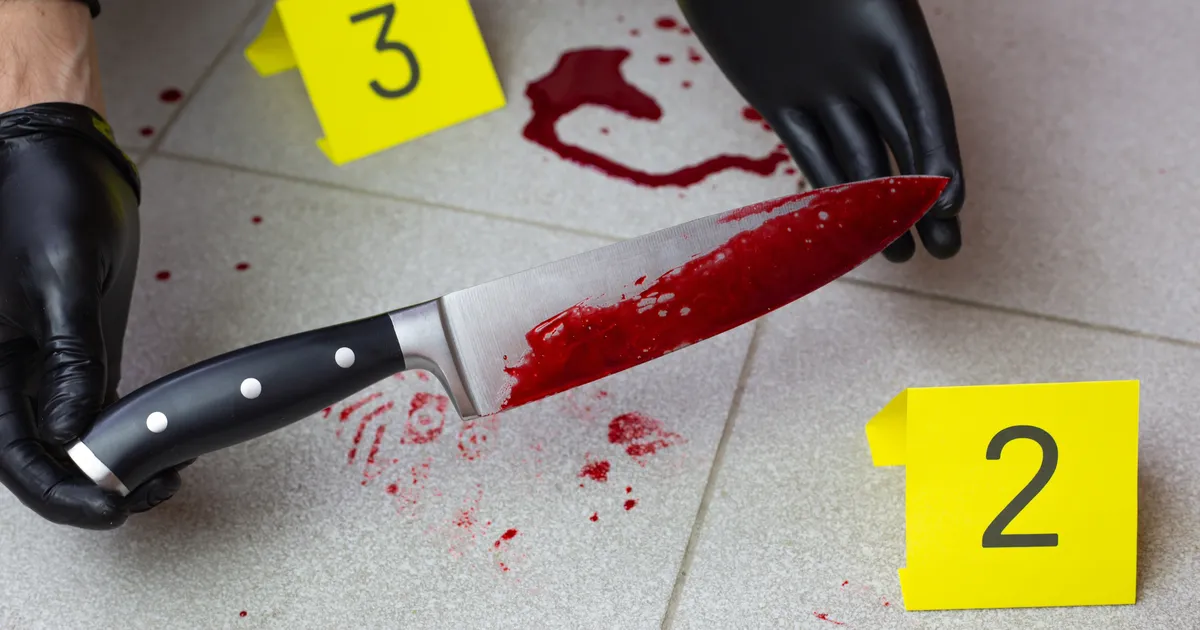 Karm juhtum Soomes: tuntud professori mõrvas ta poeg