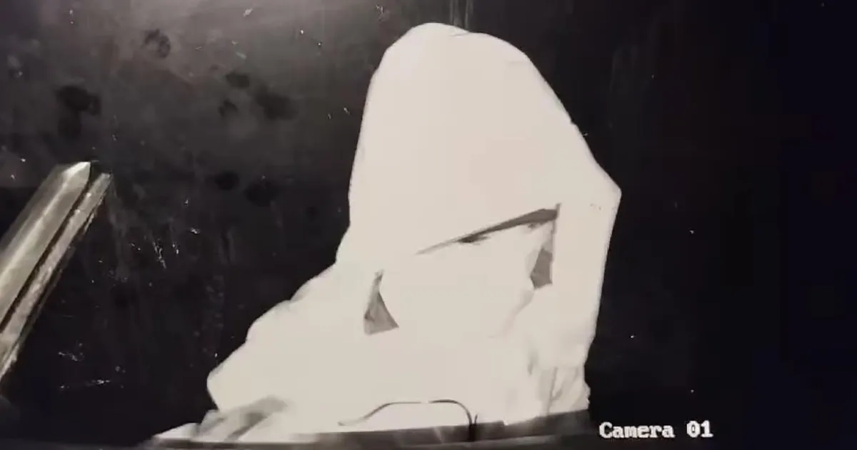 VIDEO ⟩ Otepää vallas asuvas meejaamas käib vargil maskiga naine: silmad värvitud ja kannab Didriksonsi jopet