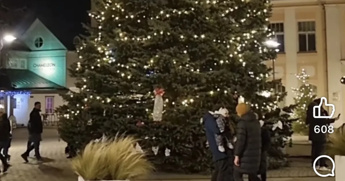 LUSTAKAS VIDEO ⟩ Vaata, kuidas aitavad inimesed Kuressaares jõulupuud säravana hoida