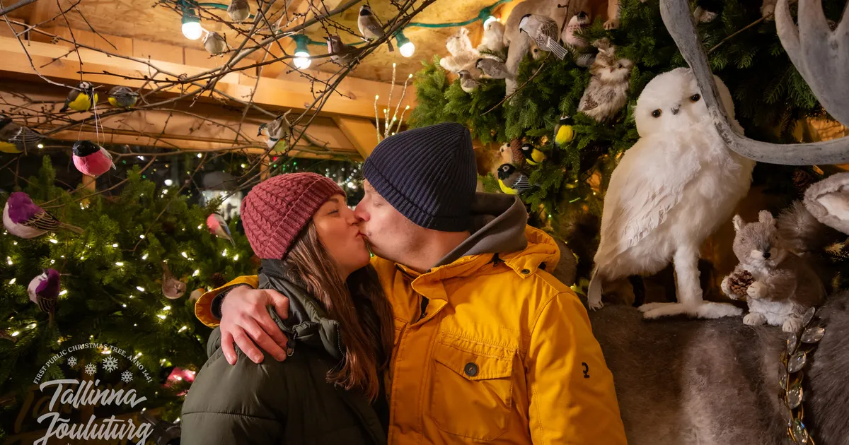 FOTOD ⟩ Vaata, kes teise advendi puhul Tallinna jõuluturu fotomajas armsaid pilte tegid