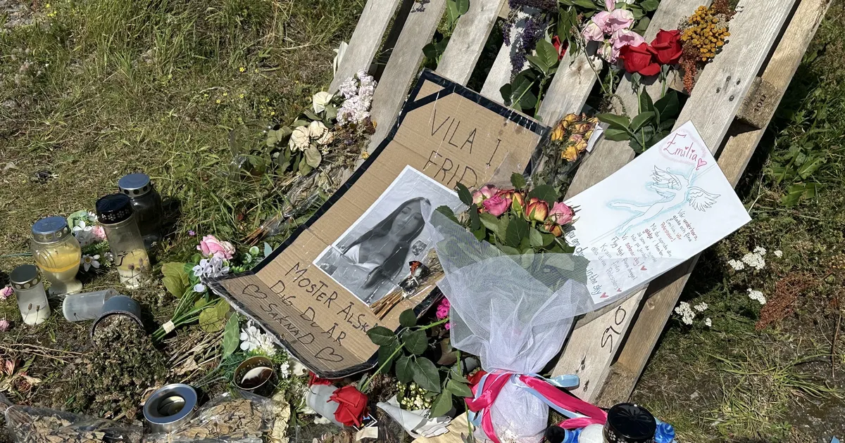 SAMAVANUSED TAPJAD ON KOHTU ALL ⟩ Kohutav vägivald Rootsis: 14-aastane tüdruk peksti ja pussitati surnuks