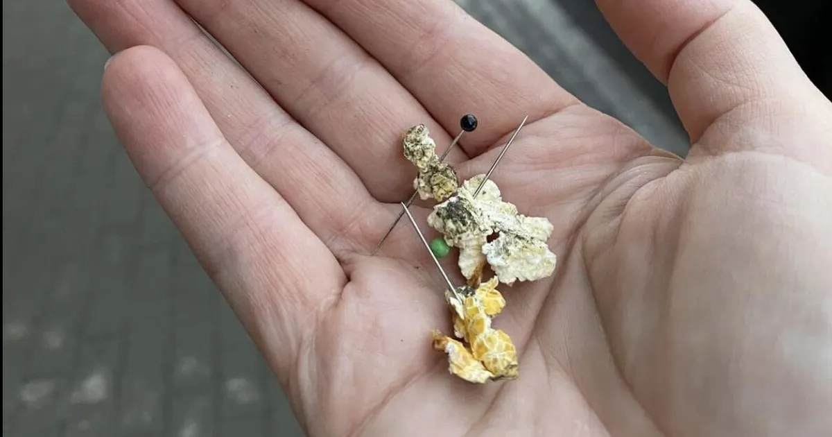 FOTO ⟩ «Igal oinal oma mihklipäev!» Tallinna kesklinnast leiti nööpnõeltega popkorn