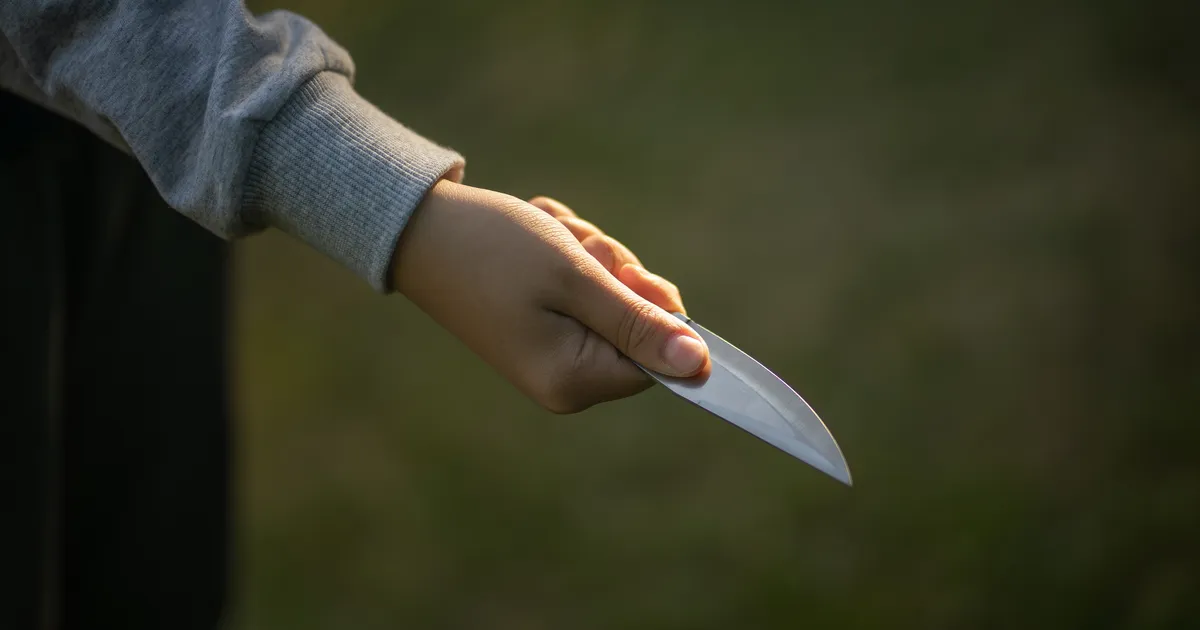 PEDOFIILIJAHT SOOME MOODI ⟩ 16-aastane tungis võõra mehe korterisse, püüdes teda mõrvata