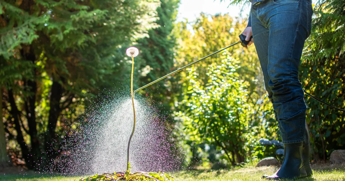 Umbrohumürk võib kaasa tuua ootamatu ohu