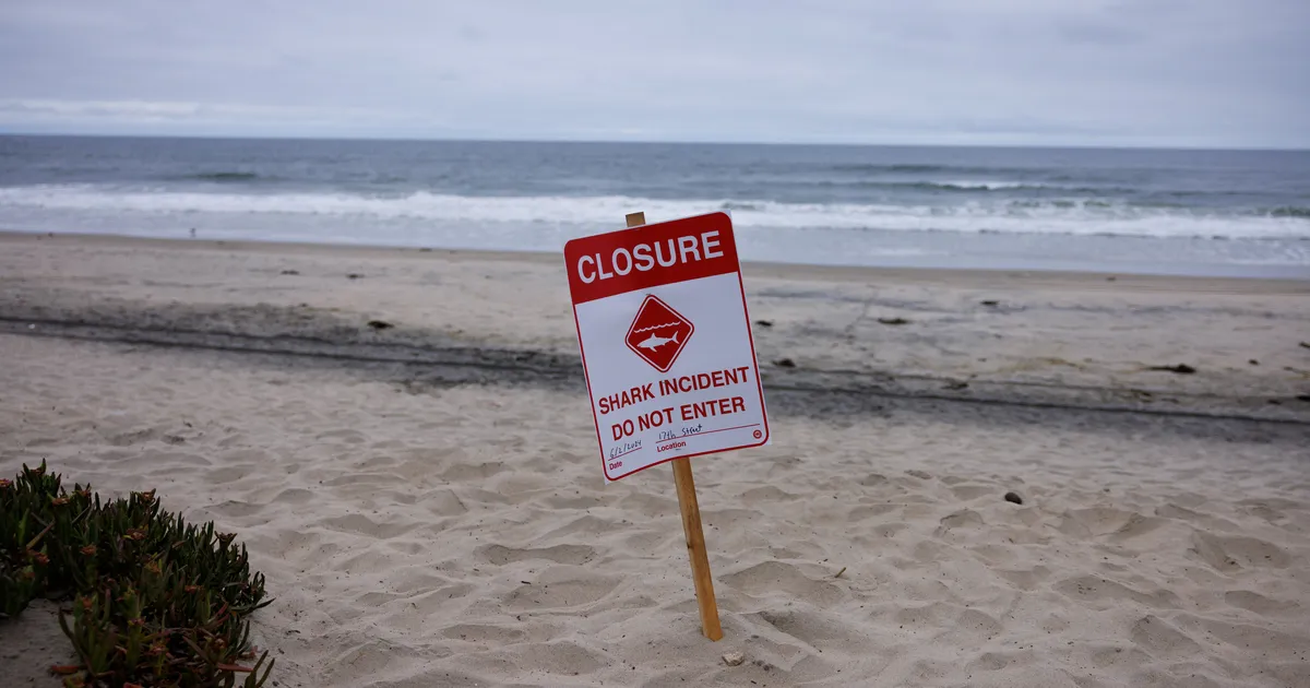 Egiptuse Punase mere rannikul sai hairünnakus surma Itaalia turist