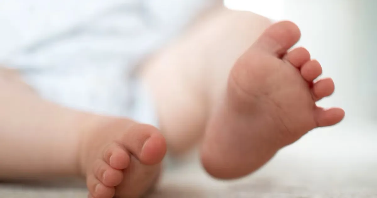 WSJ: Mida maailm täna vajab