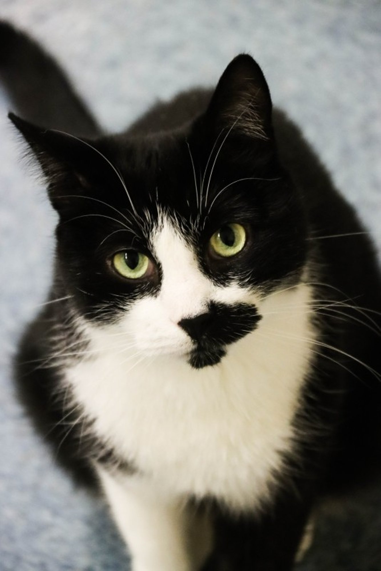 Luca unistus: saaks vaid uut aastat alustada valu ja rahamuredeta!