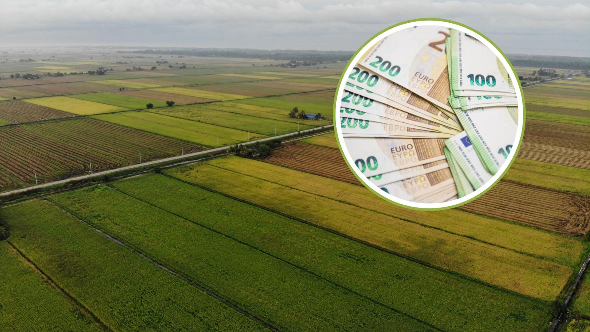 Homme on maamaksu esimese osamakse tähtaeg. Kust leiab, mille eest maksta tuleb?