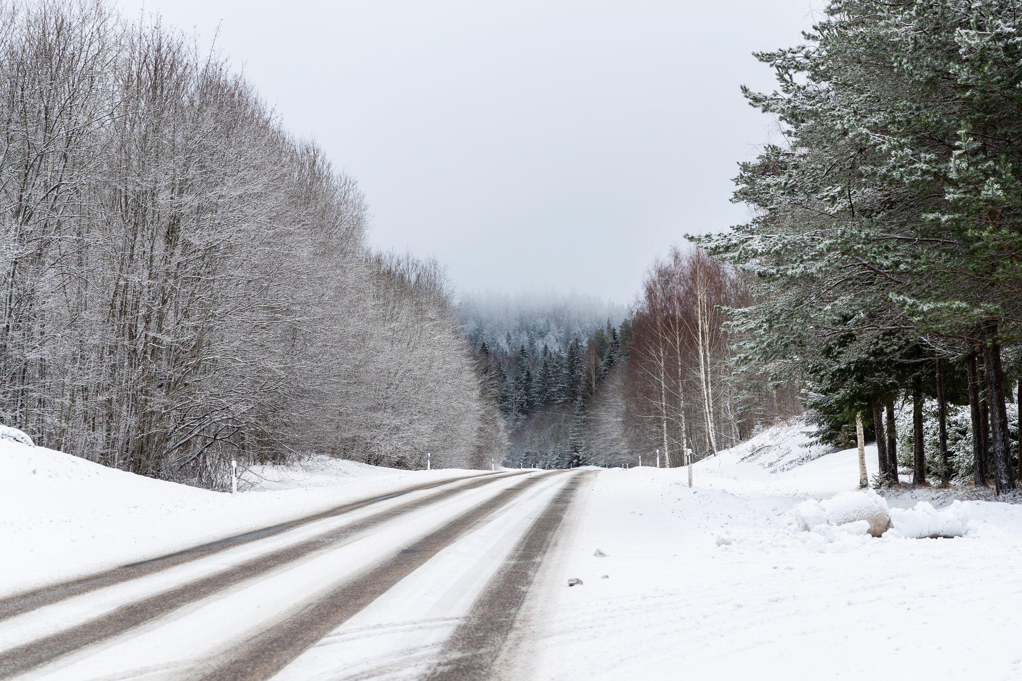 Jaanuari külvikalender