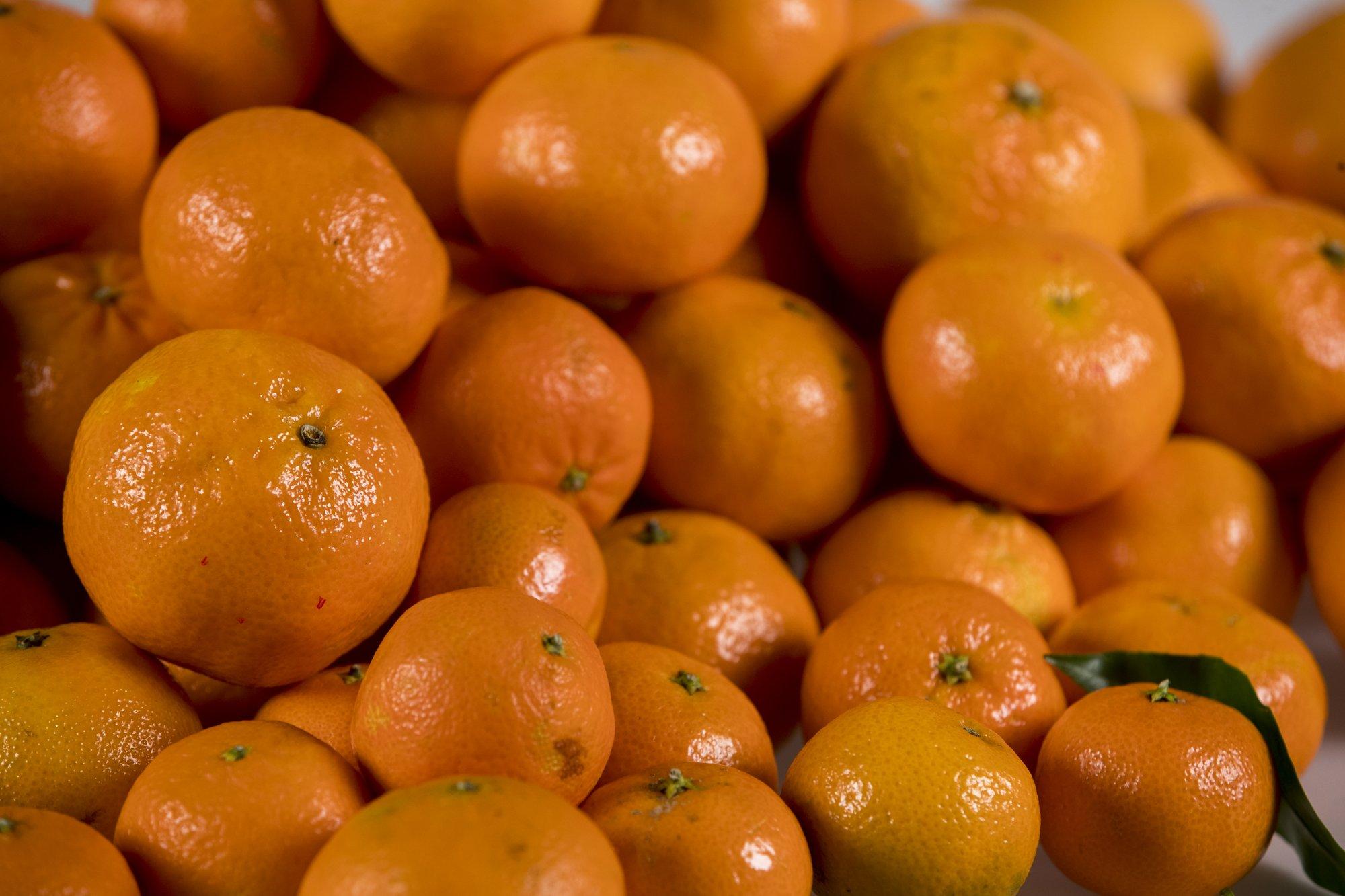 LUGEJA KÜSIB | Kas mandariinide katsumisest võib haigestuda kõhugrippi?