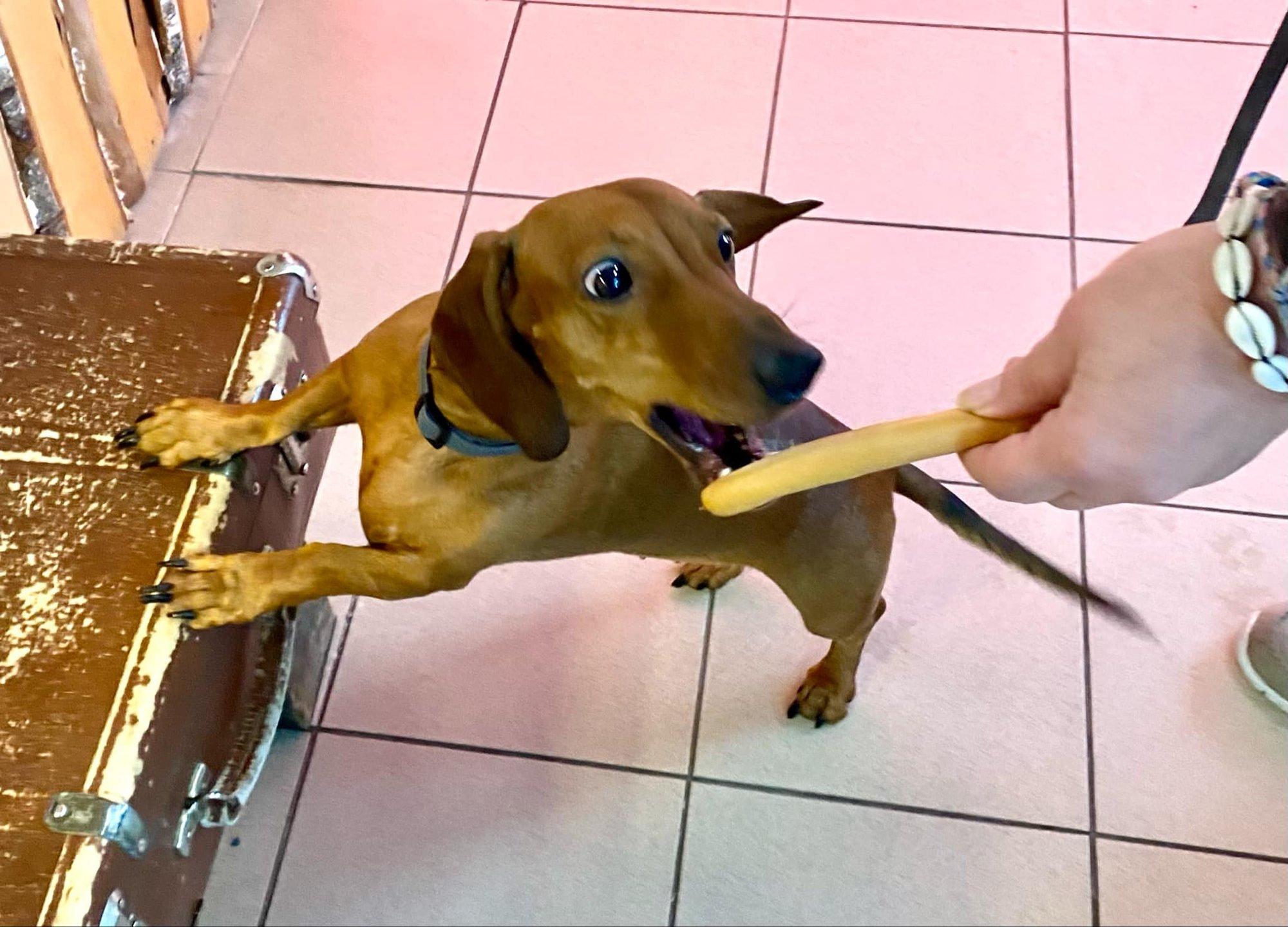 ILSE BLOGI | Ütled: „turg“, mõtled: „sealt saan tasuta vorsti“ - loogiline ju!