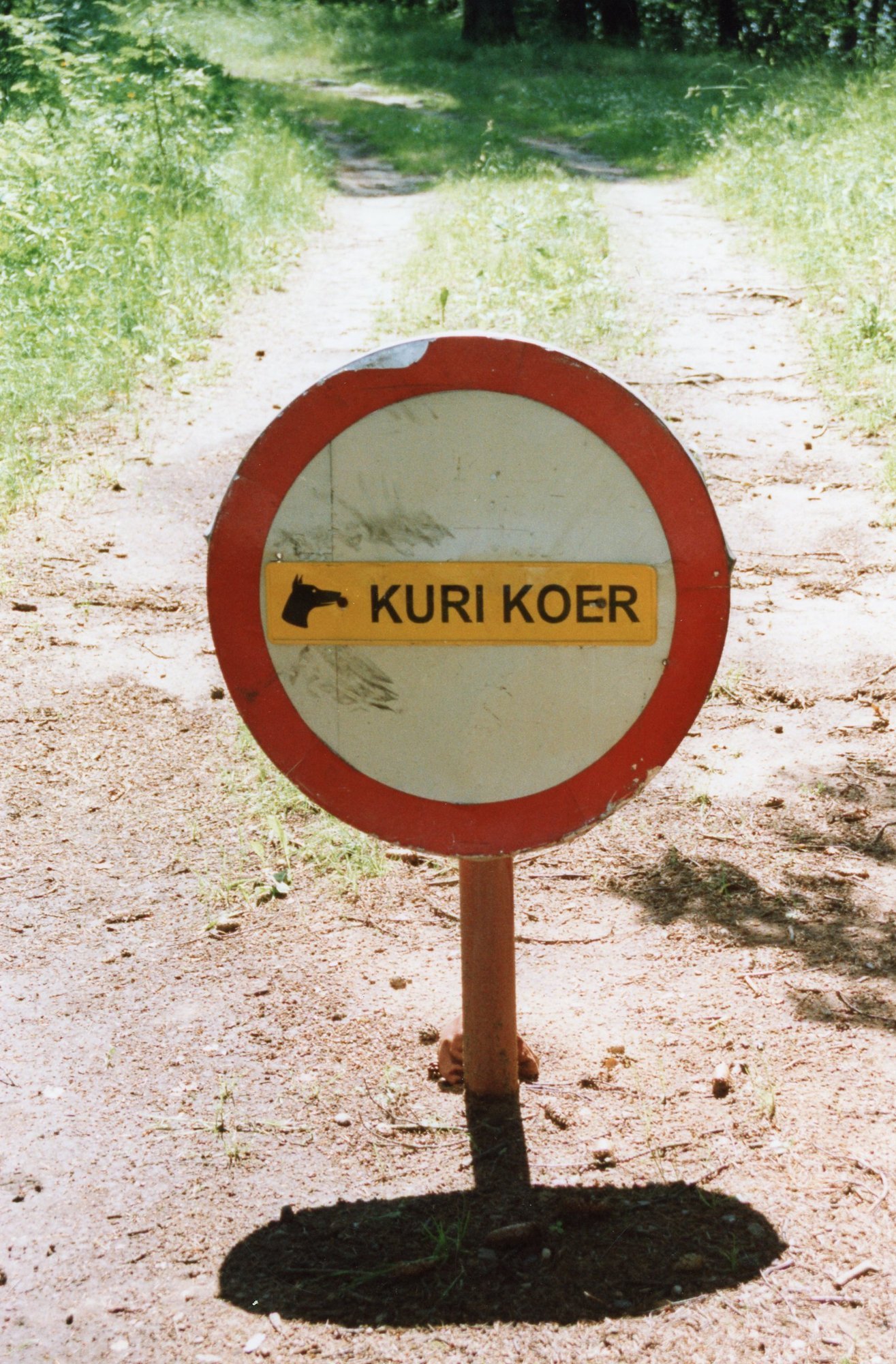 Raimond Kaljulaid: koerarünnakute olukord on hullem, kui arvasime. Omanike ükskõiksus saab aga peagi karistatud