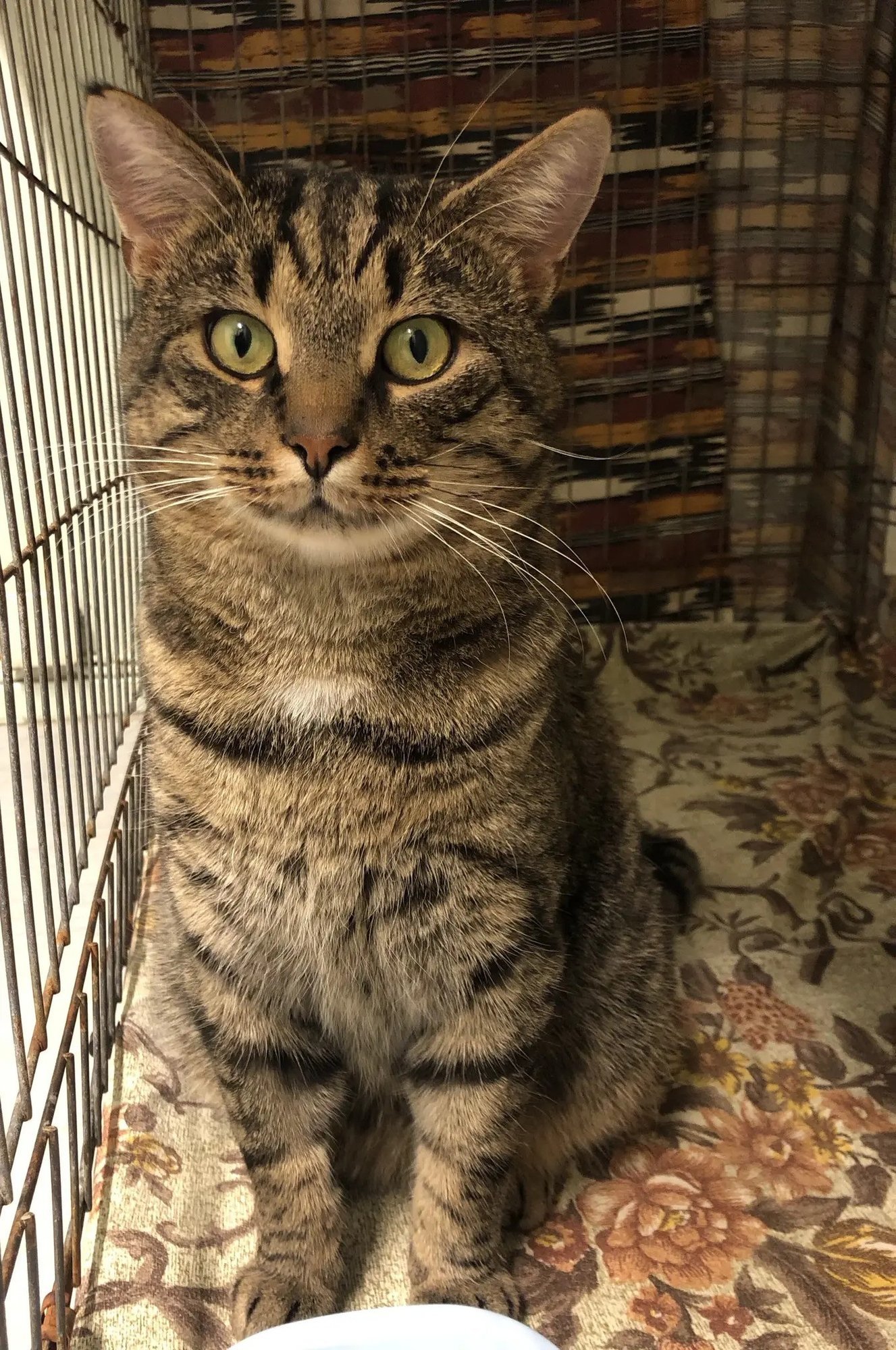 TAHAKS KOJU | Jaano silmadest kiirgab siirast armastust inimese vastu