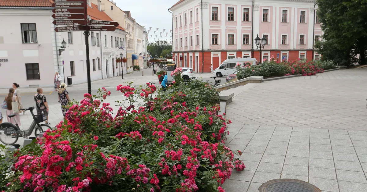 Arne Merilai ⟩ Teisaldame Pirogovi monumendi – milleks meile see imperialism?