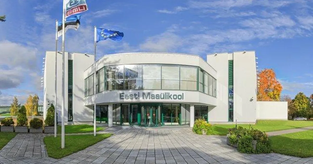 ÜLLE JAAKMA ⟩ Kõrgharidusest, rahast ja sellest, mida me õpetame