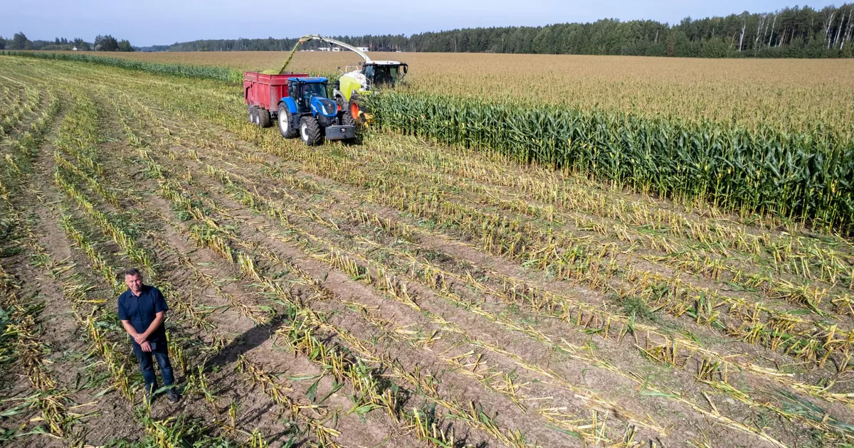 Tartu Agro juht riigi väidetavast kavast: see on meie hävitamine