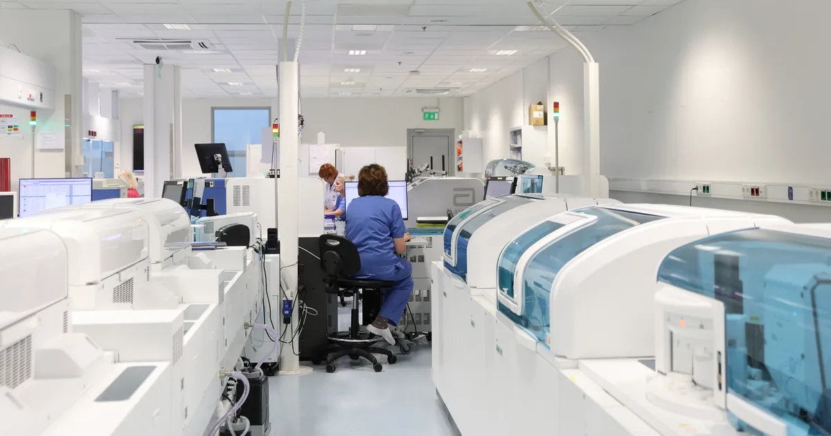 Mida teeb Eesti tööturg, mis ameteid on üle, mida vajatakse enim?