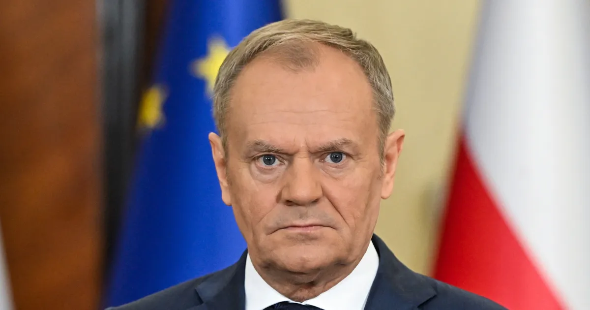 EVELYN KALDOJA ⟩ Normaalne Donald