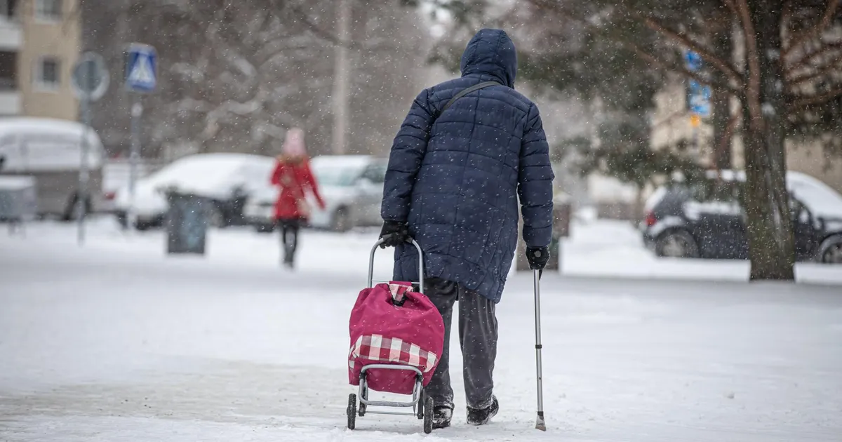 EUROLIIDU REKORD ⟩ Eestis on suur osa pensionäridest sunnitud vabaduse nautimise asemel tööl käima