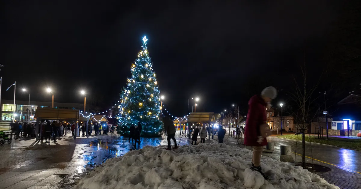 FOTOD ⟩ Viljandi kesklinnas märgati rebast: ta võiks olla siin aasta loom
