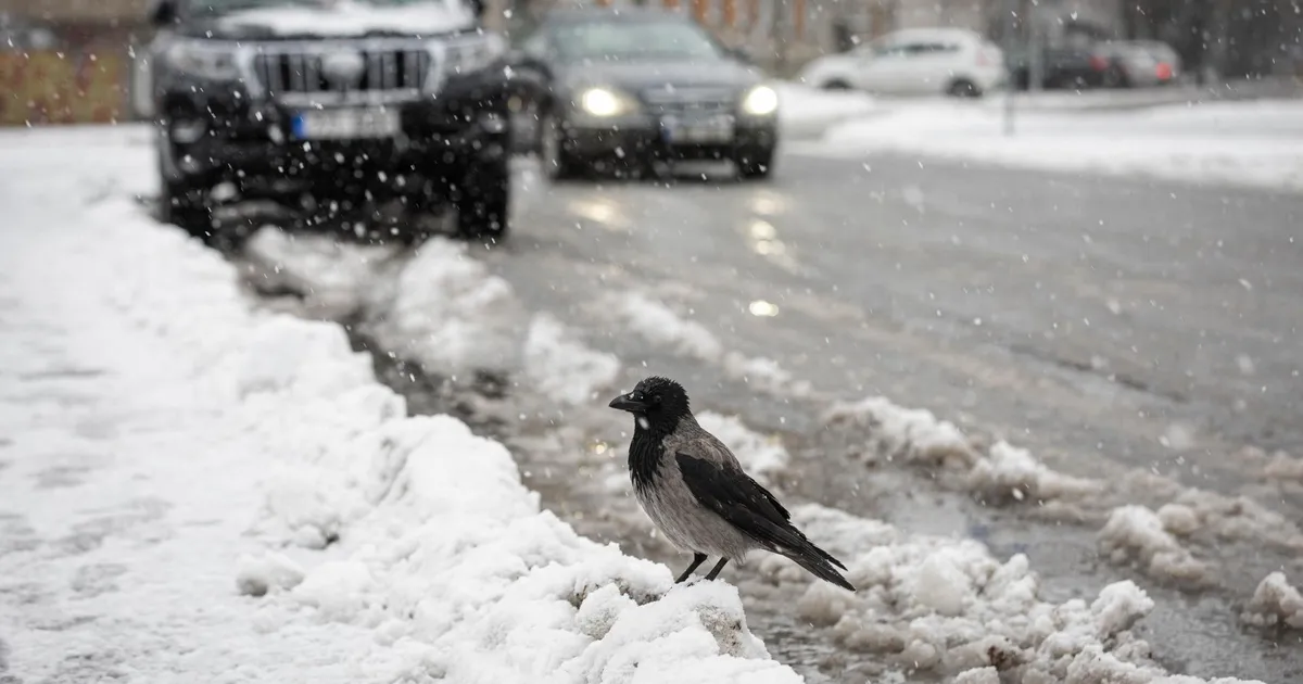 Taevaluugid lähevad valla, esmaspäeval sajab vihma ja lörtsi