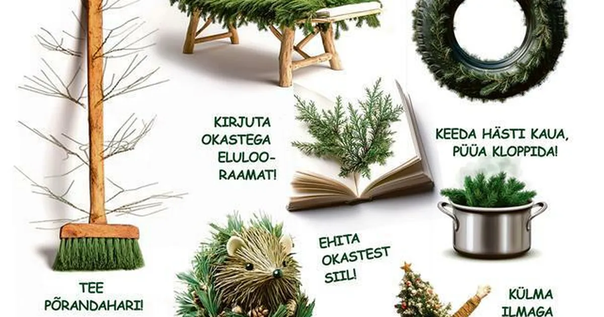 Juurikas. Pärast pühi