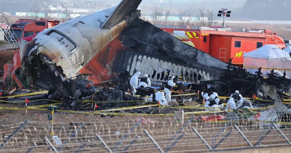 VIDEO ⟩ Kas lennuk Boeing 737 on ohtlik? Lõuna-Korea lennuõnnetus tõi probleemi esile