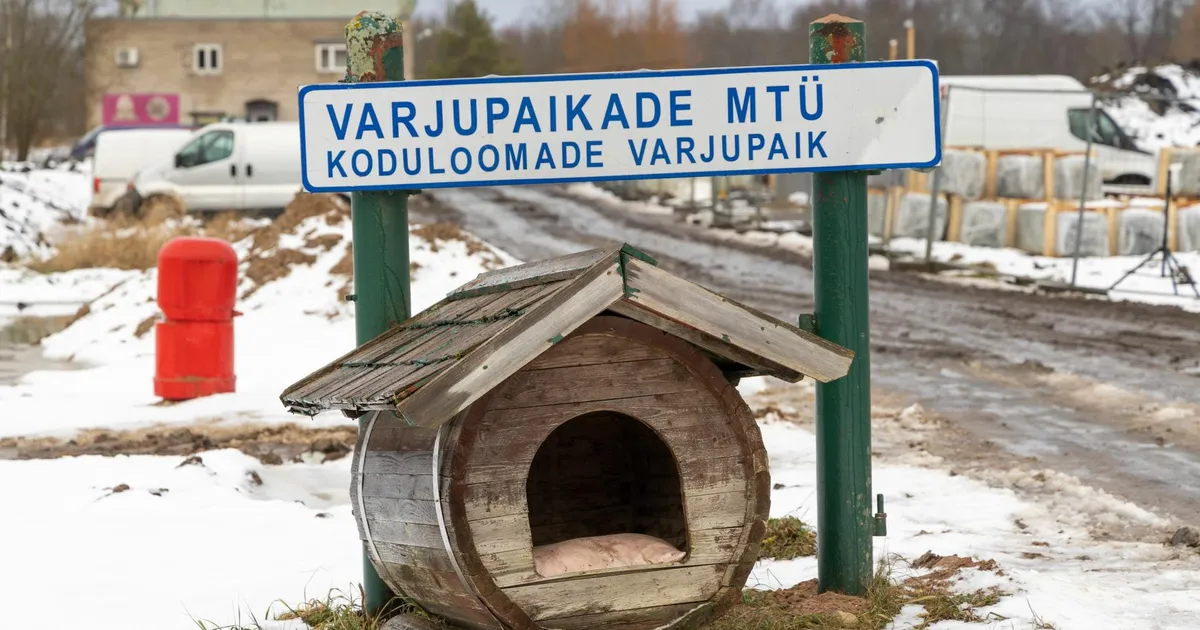 Varjupaik tajub loomaomanike suhtumise muutust