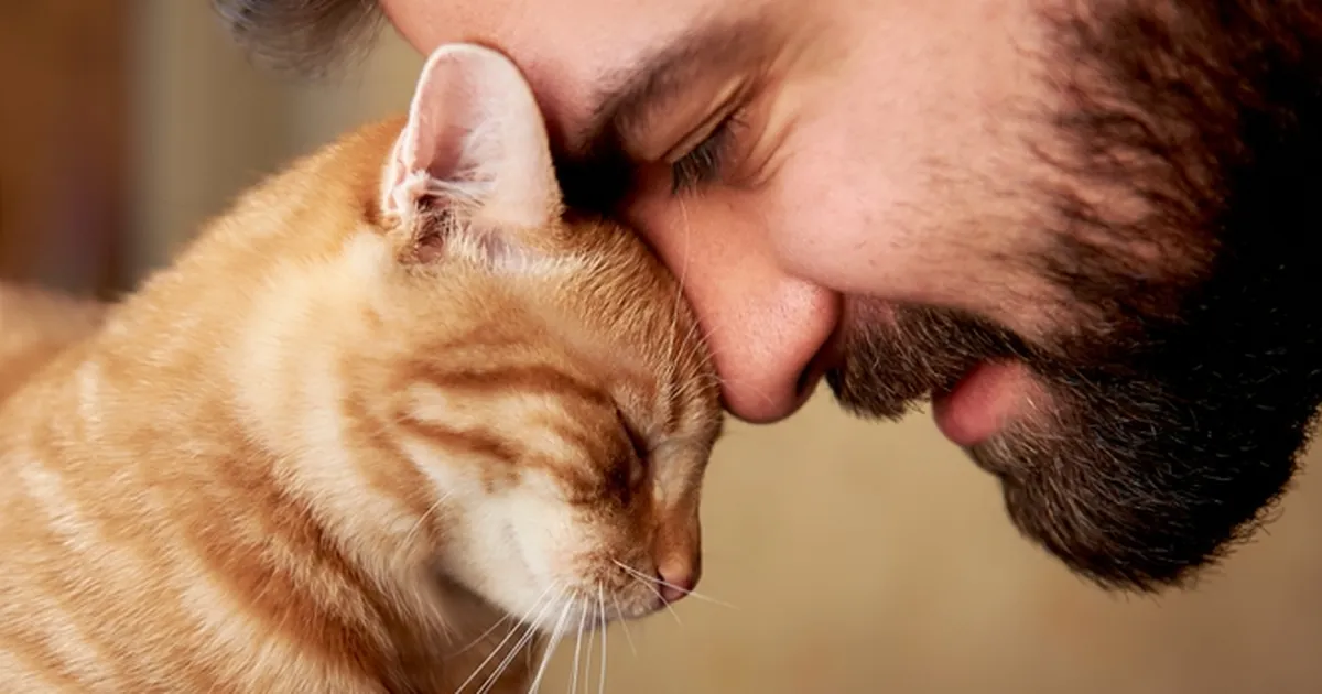 Netikasutajad on lummatud mehest, kes demonstreerib erakordset kiindumust oma kasside vastu