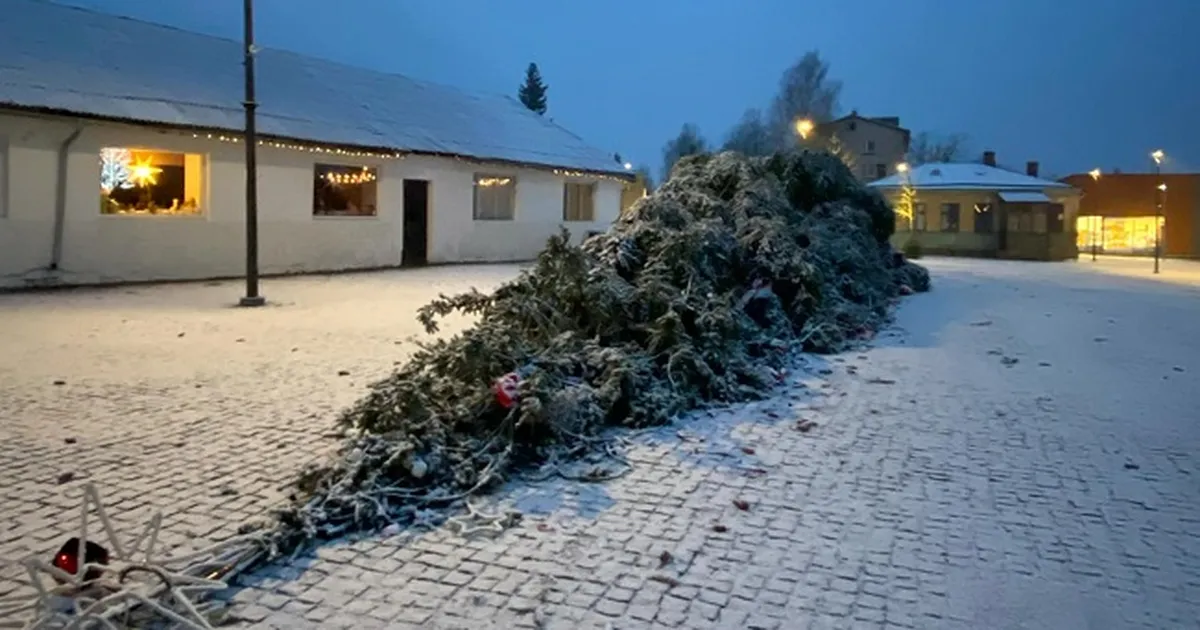 «​Grinchi kätetöö või lihtsalt tormituul?» Uus aasta algas Valgas linna jõulupuu murdumisega