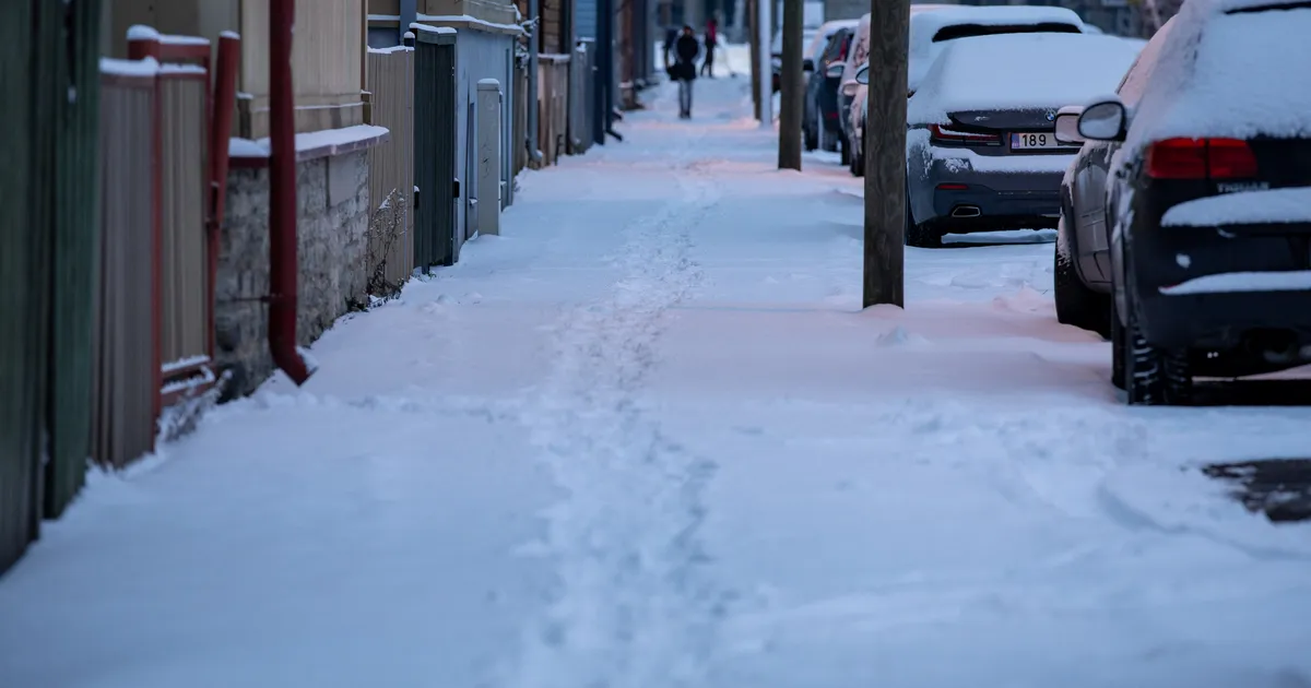 ILM ⟩ «Lõpuks ometi talve moodi!» Lumesadu jätkub nädala lõpuni, paiguti on maha sadanud lund ligi 40 cm
