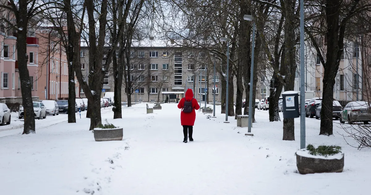 VIDEOKLIPP ⟩ Lumises Tallinnas lippas poolpaljas meesterahvas: aknast välja vaadates igav ei hakka