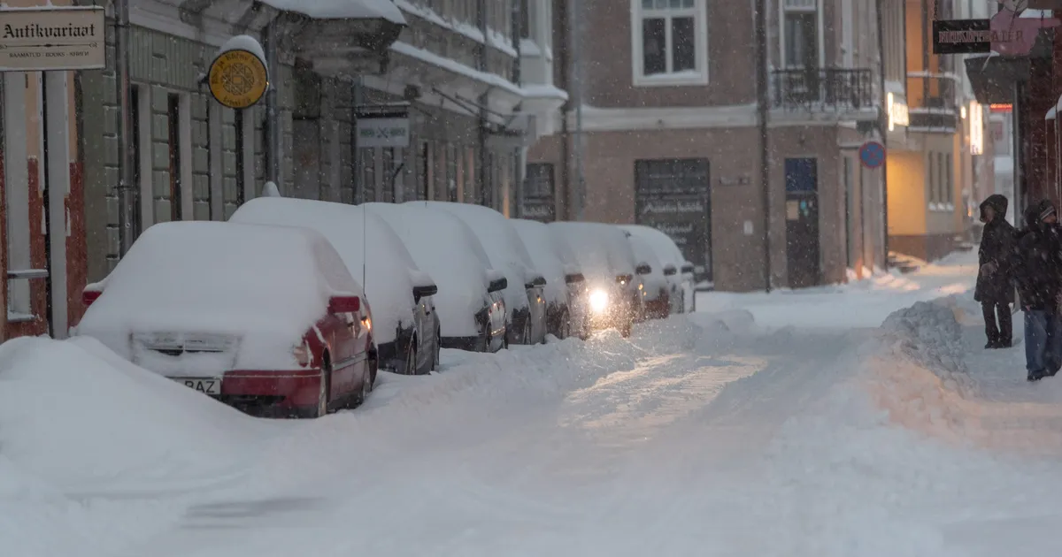 REEDE ÕHTU ⟩ Saabuv lumesadu toob kuni 25 sentimeetrit lumelisa